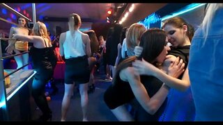 Strring až medů a fešáci wild potřeb